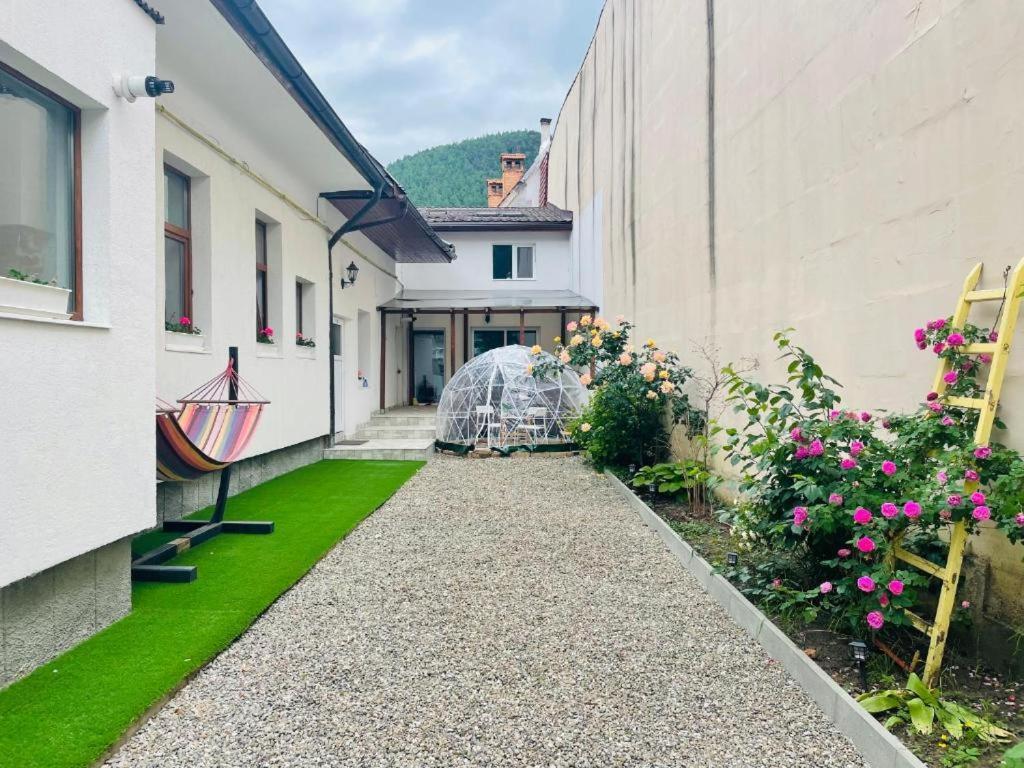 Schei Brasov-Скей Брашов Braşov Exterior foto